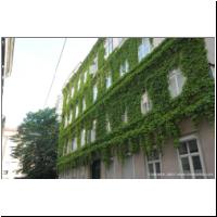 2010-05-28 Begruenung.jpg